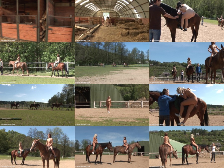 Horseriding At A Barn 1