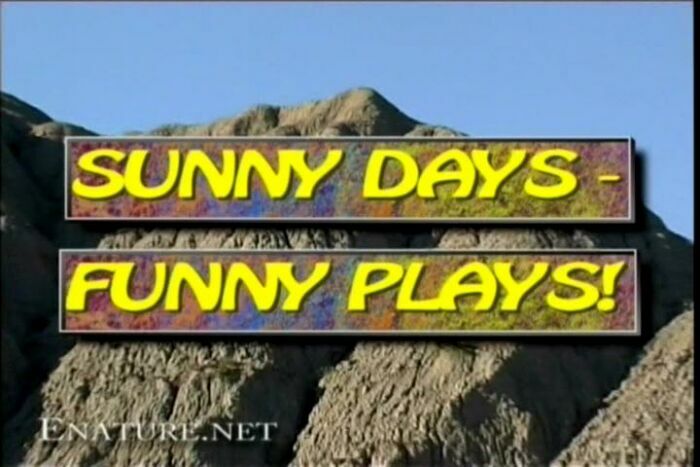 [VIDEO] Sunny Days - Funny Plays!